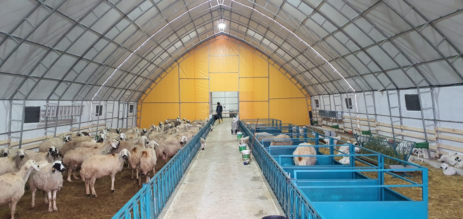 Çifliğimiz || Ovis Farm